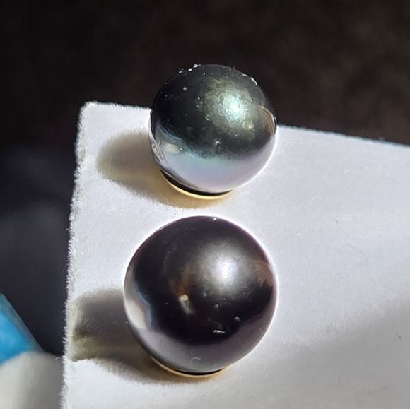 Tahitian Black Pearl Earrings 13mm in 14k Yellow Gold - Picture 9 of 10